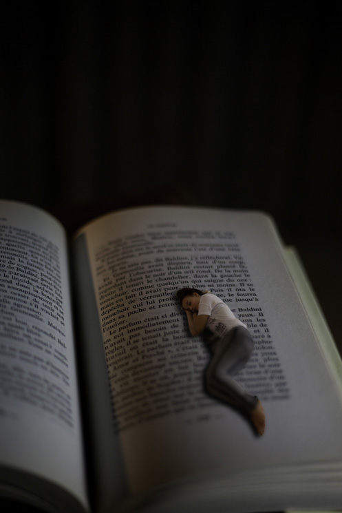 Demoiselle enlivrée, 2014 by Emmanuel Bertrand